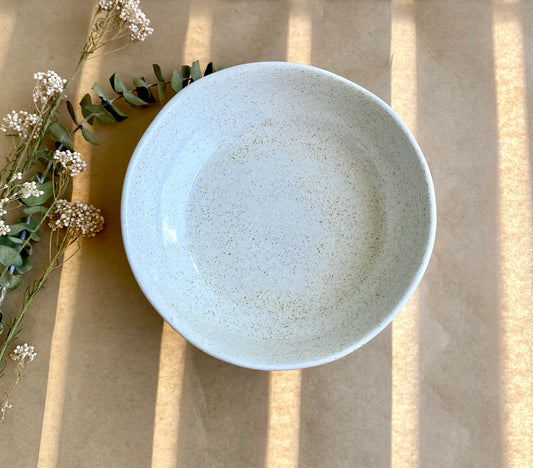 Speckled Dinner Bowl