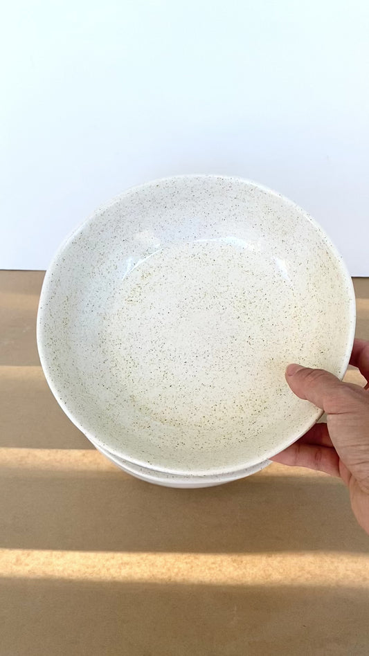 Speckled Dinner Bowl